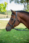 Henri de Rivel Clincher Bridle_1