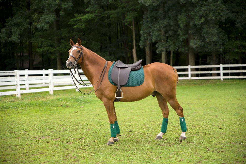Henri De Rivel Jaipur Polo Saddle