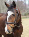 Henri de Rivel Kushy Bridle with Detachable Flash _2