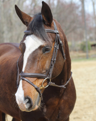 Henri de Rivel Kushy Bridle with Detachable Flash _2