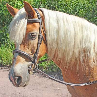 Henri de Rivel Pro Fancy Raised Comfort Crown Padded Bridle With Fancy Raised Reins_1849