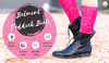 TuffRider Women Belmont Lace-Up Paddock Boots