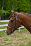 Henri de Rivel Pro Anatomical Bridle_3