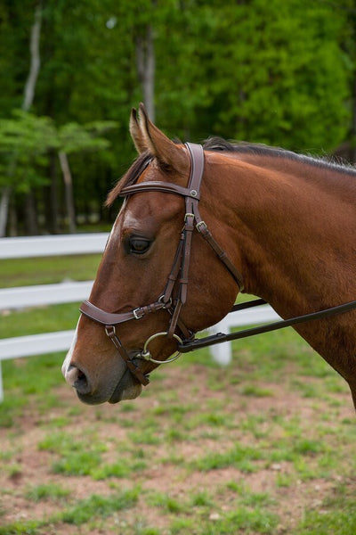 Henri de Rivel Pro Anatomical Bridle_3