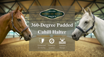 Henri De Rivel 360-Degree Padded Cahill Halter