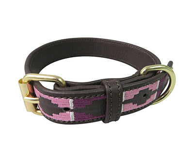 Halo Dog Collar - Leather with Cal Dog Collar_2060