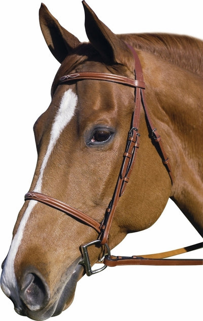 Henri de Rivel Pro Fancy Raised Bridle With Laced Reins_1
