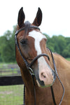 Henri de Rivel Pro Fancy Raised Bridle With Laced Reins_2