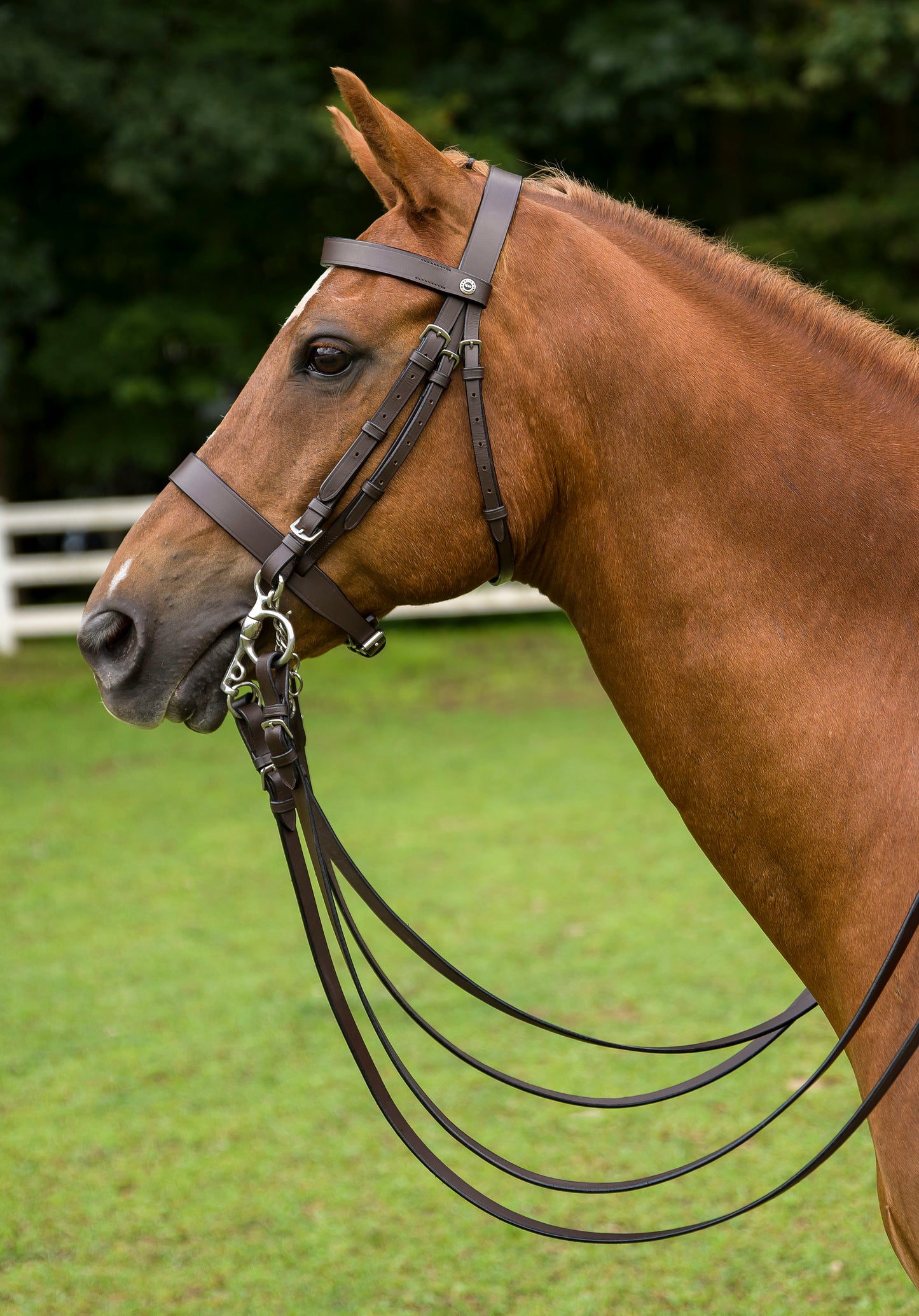 HENRI DE RIVEL POLO BRIDLE WITH DOUBLE REINS