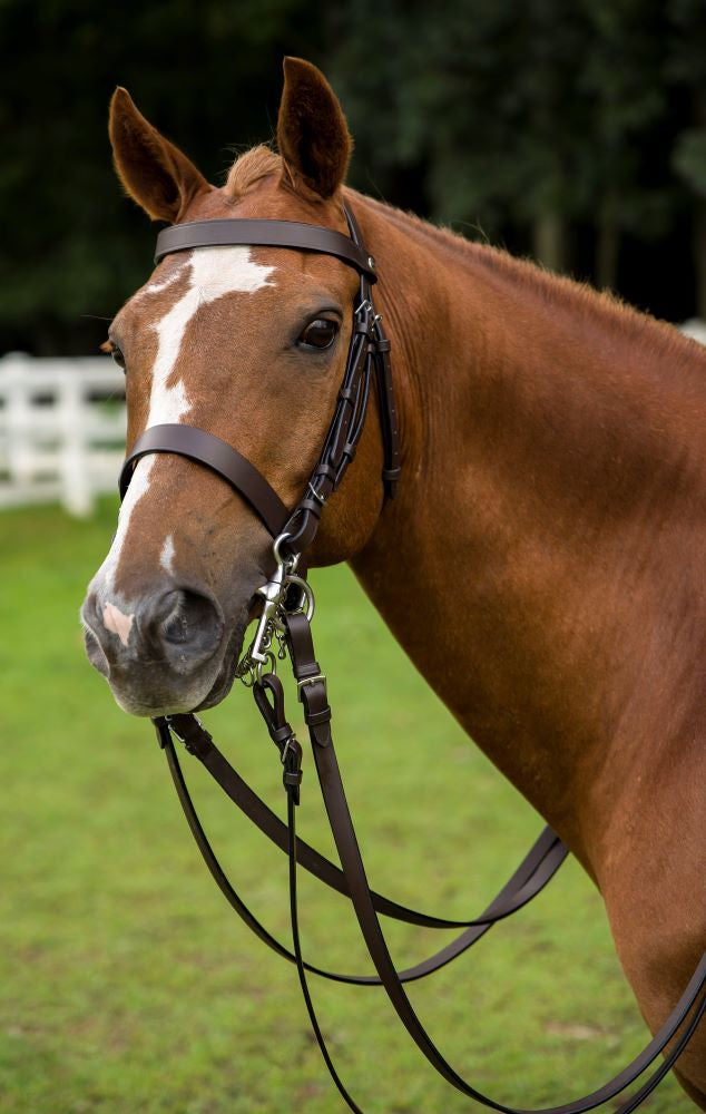 HENRI DE RIVEL POLO BRIDLE WITH DOUBLE REINS