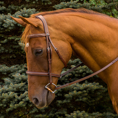 Henri de Rivel Pro Mono Crown Fancy Stitched Padded Bridle_1901