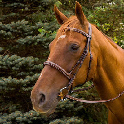 Henri de Rivel Pro Mono Crown Fancy Stitched Padded Bridle_1900