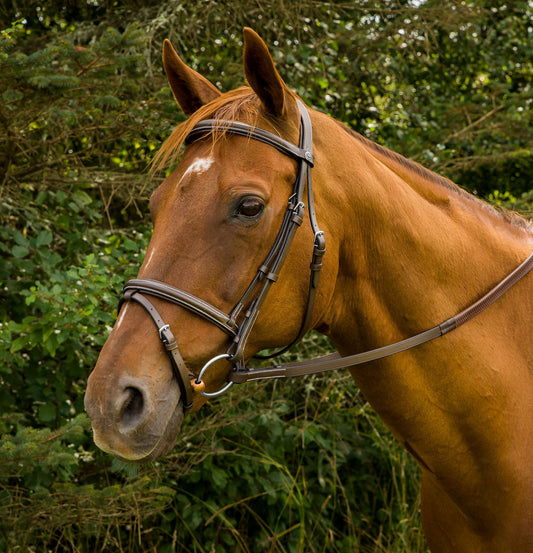 Henri de Rivel Pro Mono Crown Bridle with Flash and Rubber Reins_1902