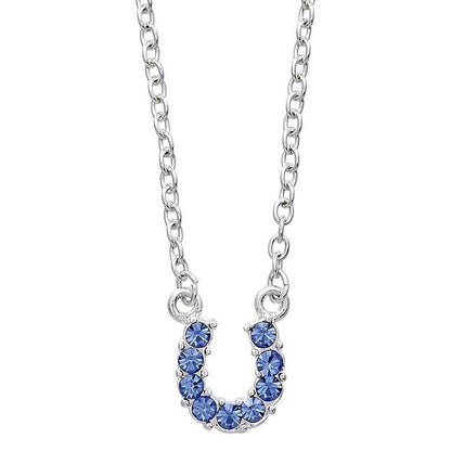 AWST Int'l Aqua Rhinestone Horseshoe Necklace w/ Horse Head Gift Box