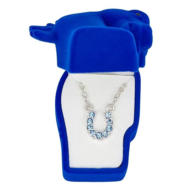 AWST Int'l Aqua Rhinestone Horseshoe Necklace w/ Horse Head Gift Box
