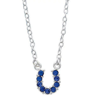 AWST Int'l Aqua Rhinestone Horseshoe Necklace w/ Horse Head Gift Box