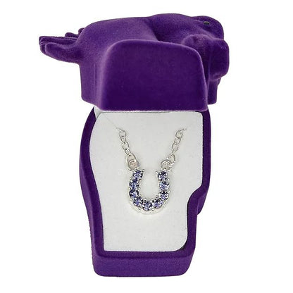 AWST Int'l Aqua Rhinestone Horseshoe Necklace w/ Horse Head Gift Box