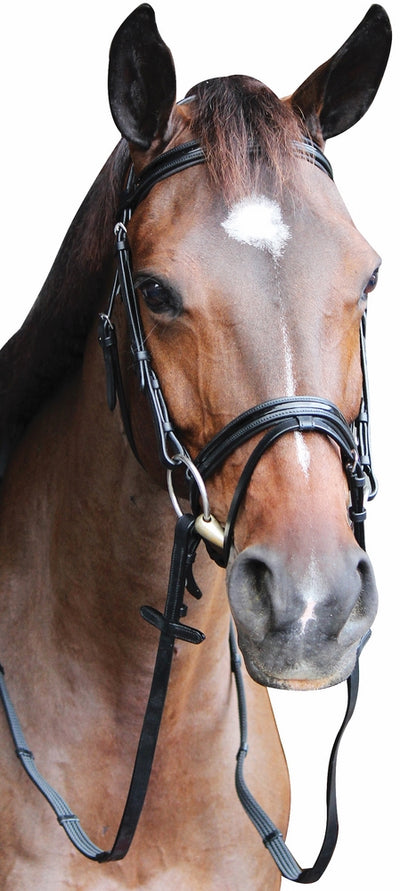 Henri de Rivel Pro Piaffe Mono Crown Bridle with Flash Noseband with Patent Leather and webbed rubber reins with leather stops_6