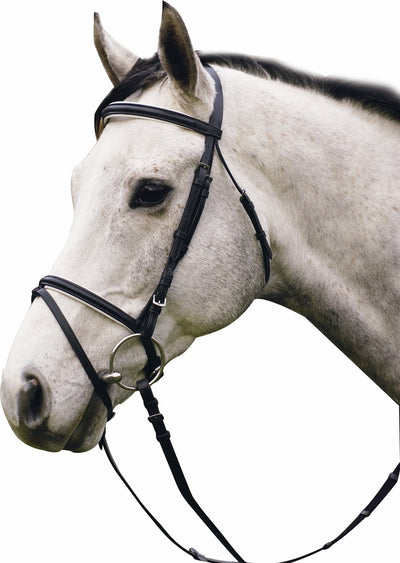 Henri de Rivel Pro Padded Dressage Bridle with Flash and Web Reins_2