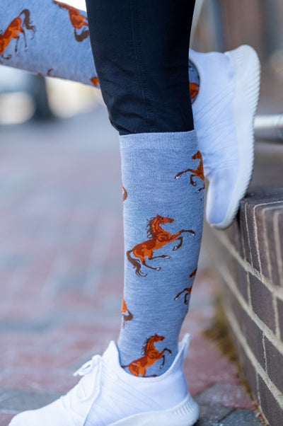 AWST Int'l Ladies "Lila" Bay Horse Knee Socks-6 Pack