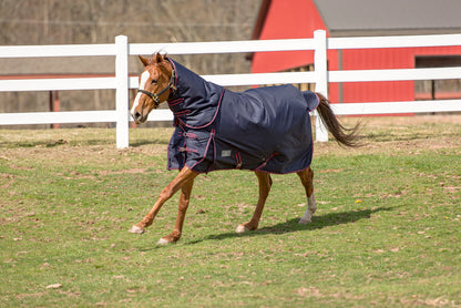 TuffRider 1200 D Comfy Winter Medium Weight Ripstop Turnout Blanket w/ Detachable Neck- 200 GSM