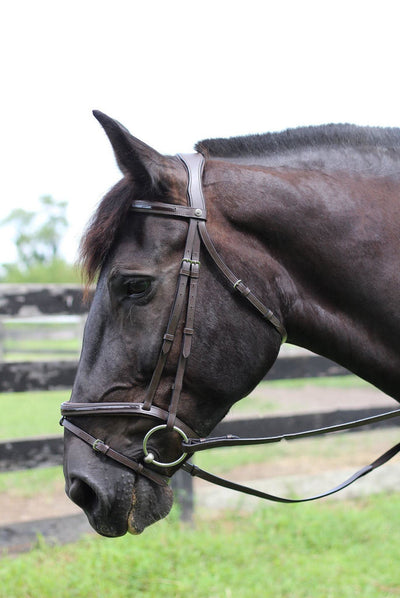 Henri de Rivel Pro Piaffe Mono Crown Bridle with Flash Noseband with Patent Leather and webbed rubber reins with leather stops_1