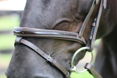 Henri de Rivel Pro Piaffe Mono Crown Bridle with Flash Noseband with Patent Leather and webbed rubber reins with leather stops_3