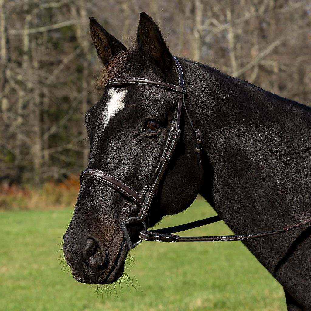  Henri de Rivel Pro Mono Crown Bridle with Padded Wide Noseband  with Laced Reins_1