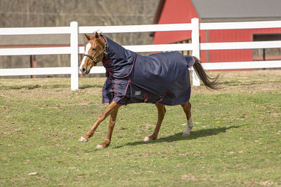 TuffRider 600 D COMFY WINTER MEDIUM WEIGHT TURNOUT BLANKET W/ COMBO NECK 200 GMS