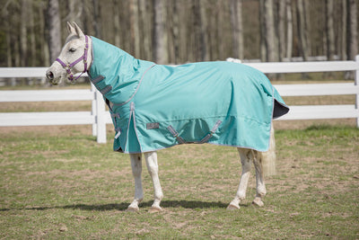 Tuffrider 1200 D Comfy Winter Medium Weight Turnout Blanket W/ Detachable Neck 200 Gms