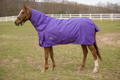 TUFFRIDER 600 D COMFY WINTER MEDIUM WEIGHT TURNOUT BLANKET W/ COMBO NECK 200 GMS